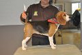 Afb_20130120_Lara (6)